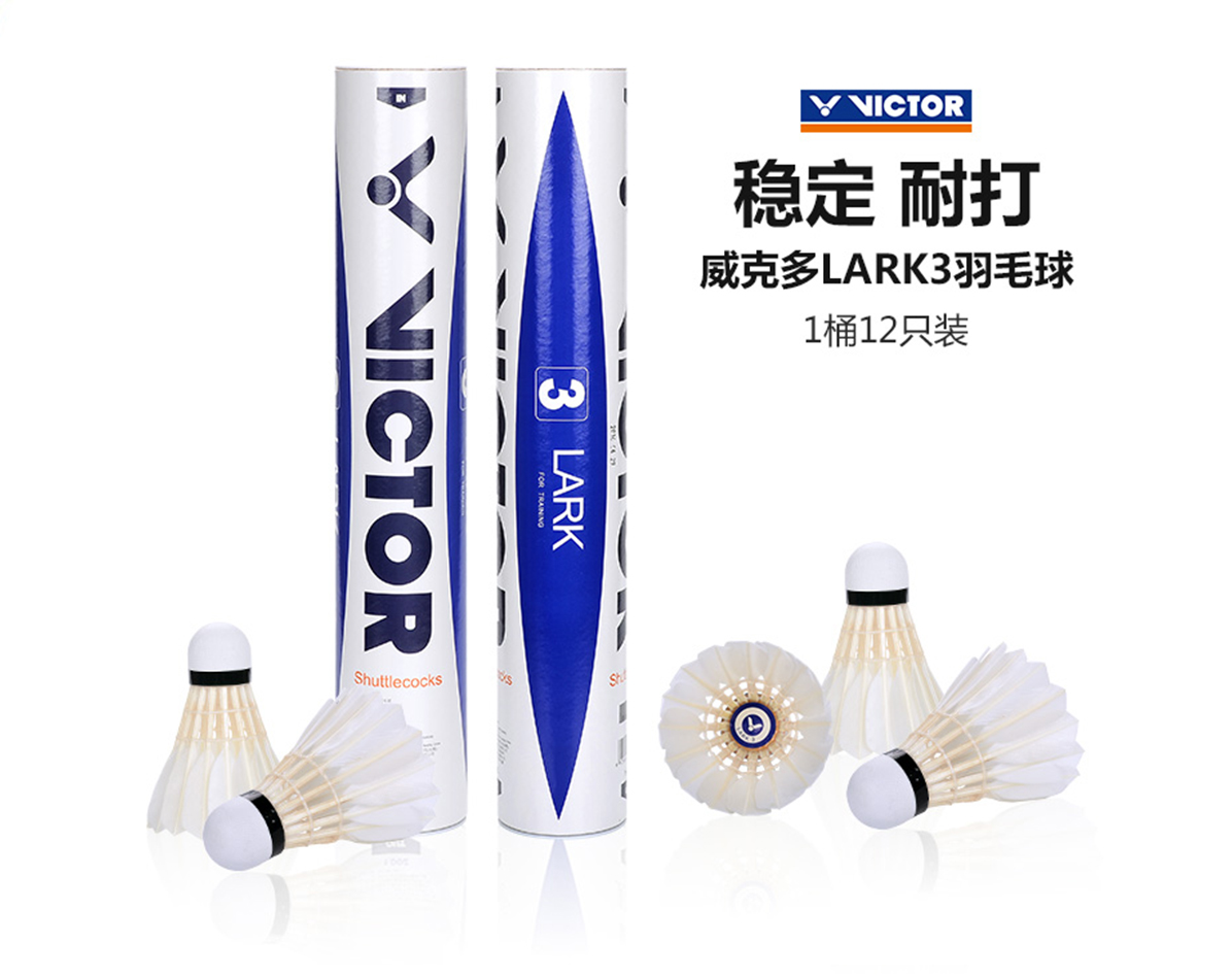 ˶VICTOR ȸ3̖LARK3ë Ӗ(xn) (wn)ʹ 12ֻb